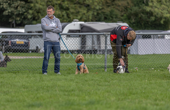 Scruffts heat @ Detling 21st September 2025-40