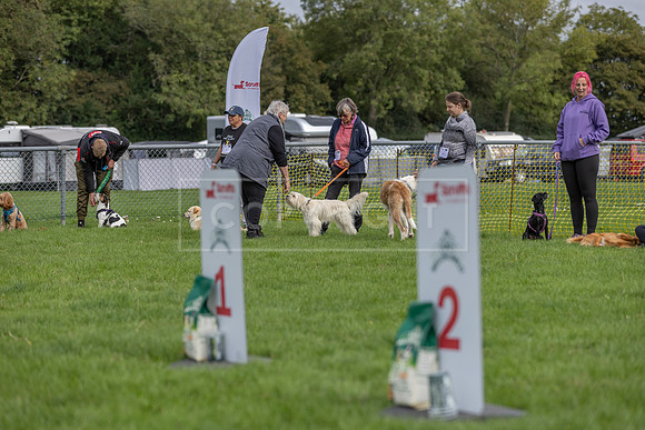 Scruffts heat @ Detling 21st September 2025-41