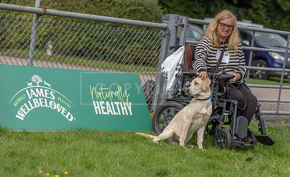 Scruffts heat @ Detling 21st September 2025-44