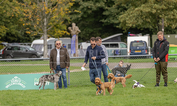 Scruffts heat @ Detling 21st September 2025-47