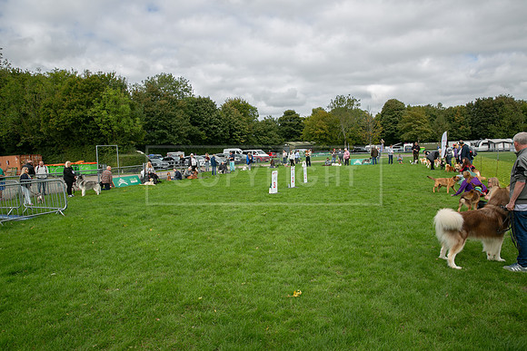 Scruffts heat @ Detling 21st September 2025-46