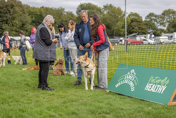 Scruffts heat @ Detling 21st September 2025-48