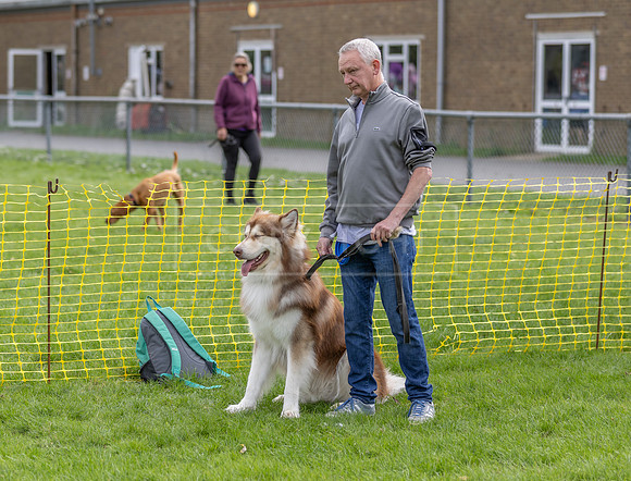 Scruffts heat @ Detling 21st September 2025-50