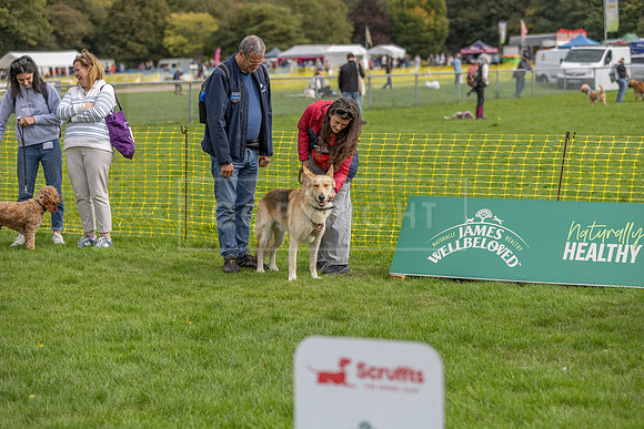 Scruffts heat @ Detling 21st September 2025-51