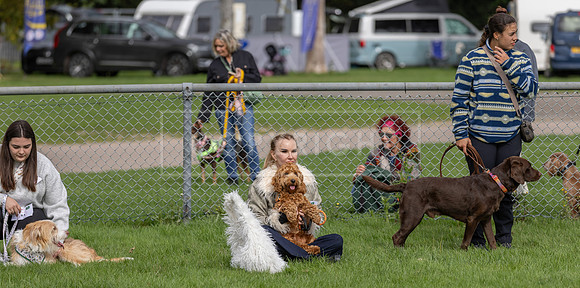 Scruffts heat @ Detling 21st September 2025-52