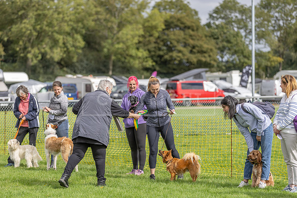 Scruffts heat @ Detling 21st September 2025-57