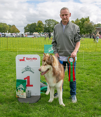 Scruffts heat @ Detling 21st September 2025-59