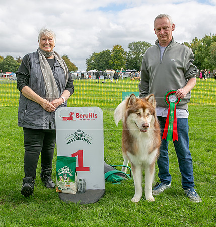 Scruffts heat @ Detling 21st September 2025-60
