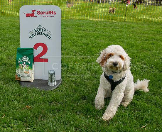 Scruffts heat @ Detling 21st September 2025-64