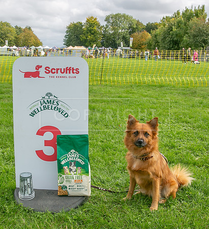 Scruffts heat @ Detling 21st September 2025-67