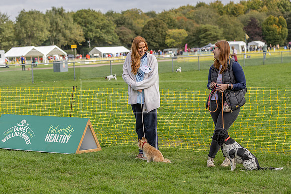 Scruffts heat @ Detling 21st September 2025-69
