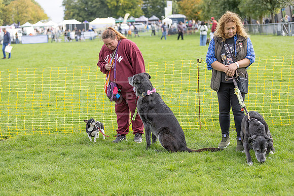 Scruffts heat @ Detling 21st September 2025-68