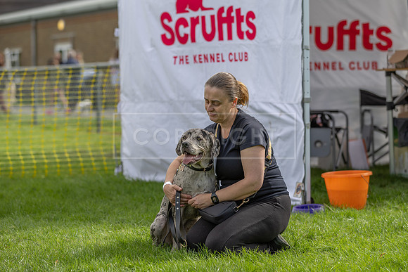 Scruffts heat @ Detling 21st September 2025-71