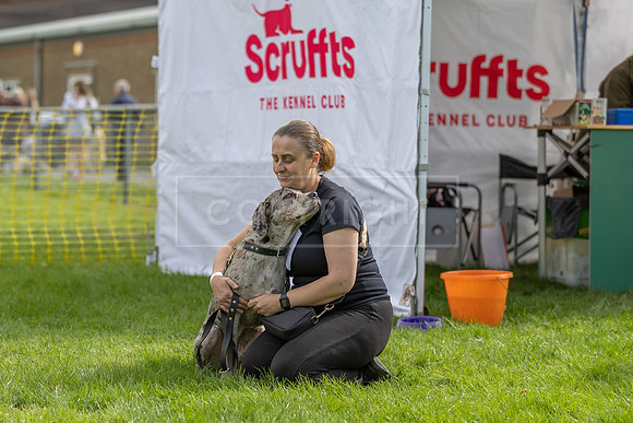 Scruffts heat @ Detling 21st September 2025-70