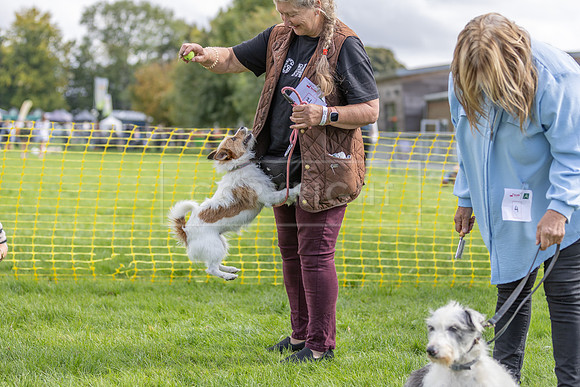 Scruffts heat @ Detling 21st September 2025-73