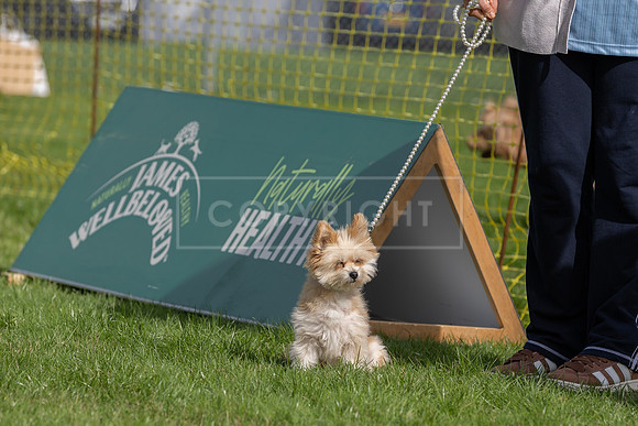 Scruffts heat @ Detling 21st September 2025-74