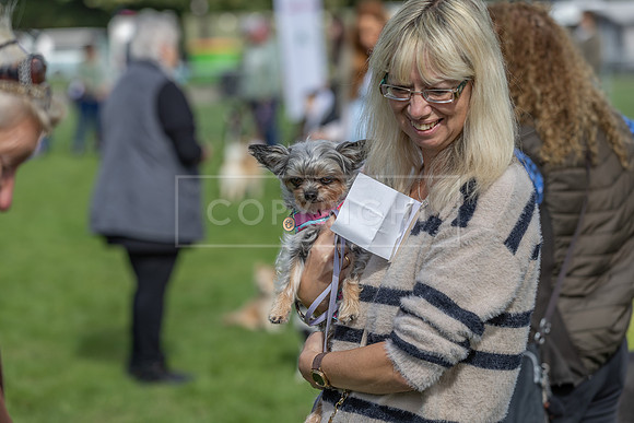 Scruffts heat @ Detling 21st September 2025-78