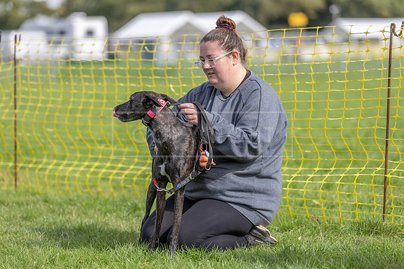 Scruffts heat @ Detling 21st September 2025-77