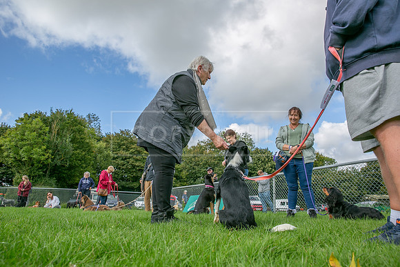 Scruffts heat @ Detling 21st September 2025-86