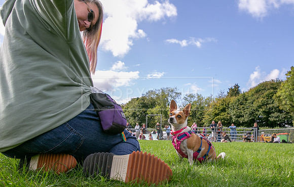 Scruffts heat @ Detling 21st September 2025-85