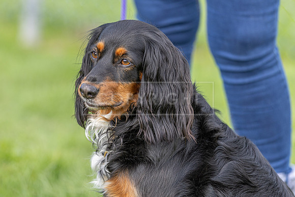 Scruffts heat @ Detling 21st September 2025-87