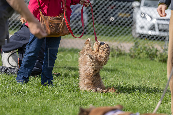 Scruffts heat @ Detling 21st September 2025-89