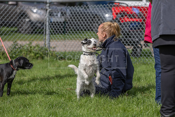Scruffts heat @ Detling 21st September 2025-93