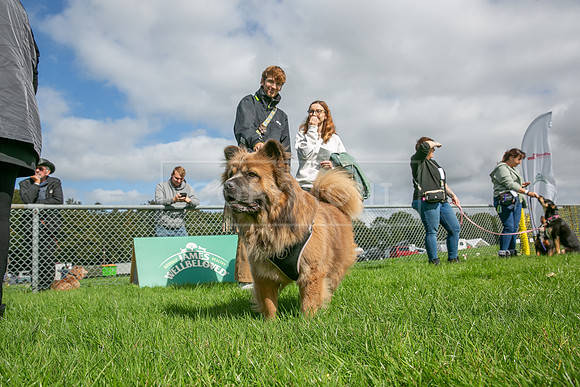 Scruffts heat @ Detling 21st September 2025-95