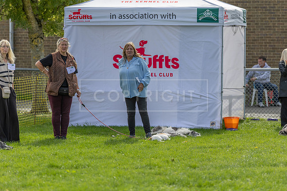Scruffts heat @ Detling 21st September 2025-100