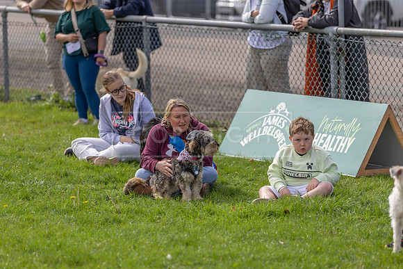 Scruffts heat @ Detling 21st September 2025-101