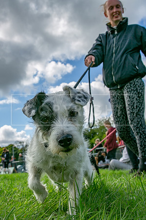Scruffts heat @ Detling 21st September 2025-102