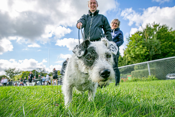 Scruffts heat @ Detling 21st September 2025-103