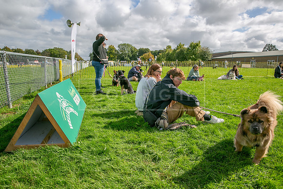 Scruffts heat @ Detling 21st September 2025-105