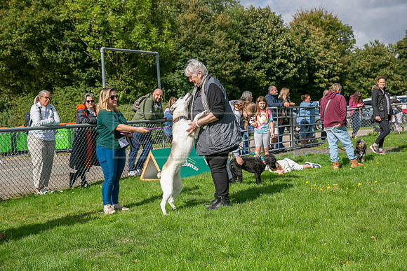 Scruffts heat @ Detling 21st September 2025-108