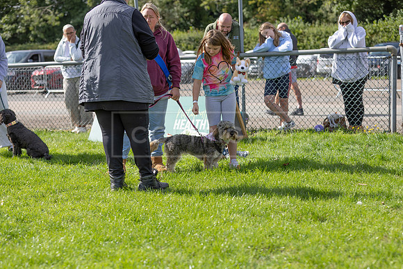 Scruffts heat @ Detling 21st September 2025-106
