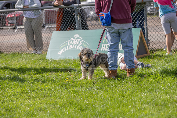 Scruffts heat @ Detling 21st September 2025-107