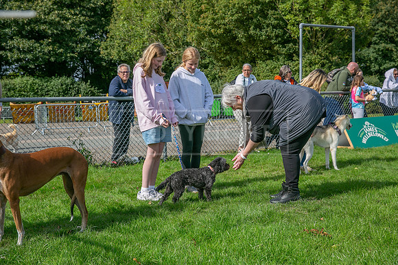 Scruffts heat @ Detling 21st September 2025-109