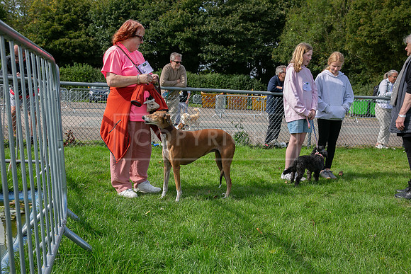 Scruffts heat @ Detling 21st September 2025-110