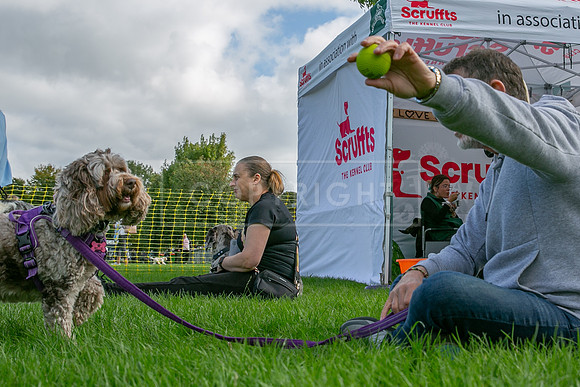 Scruffts heat @ Detling 21st September 2025-112