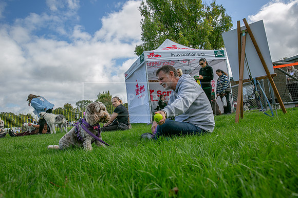 Scruffts heat @ Detling 21st September 2025-111