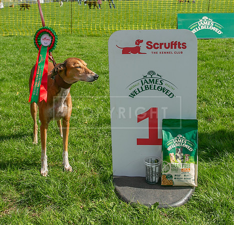 Scruffts heat @ Detling 21st September 2025-118