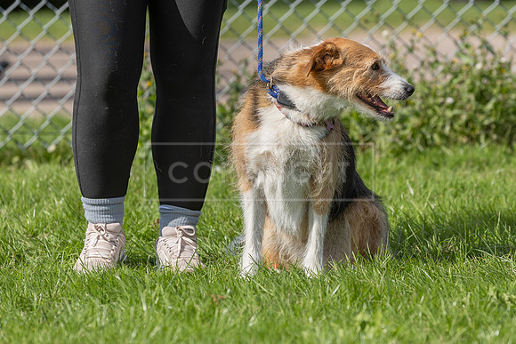 Scruffts heat @ Detling 21st September 2025-120