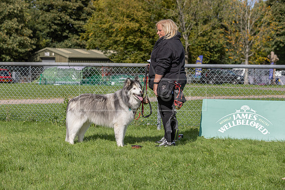 Scruffts heat @ Detling 21st September 2025-121
