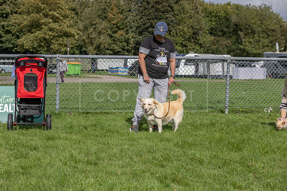 Scruffts heat @ Detling 21st September 2025-122