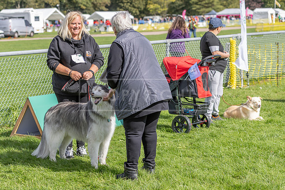 Scruffts heat @ Detling 21st September 2025-126