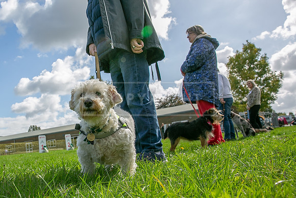 Scruffts heat @ Detling 21st September 2025-129