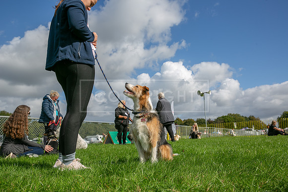 Scruffts heat @ Detling 21st September 2025-127
