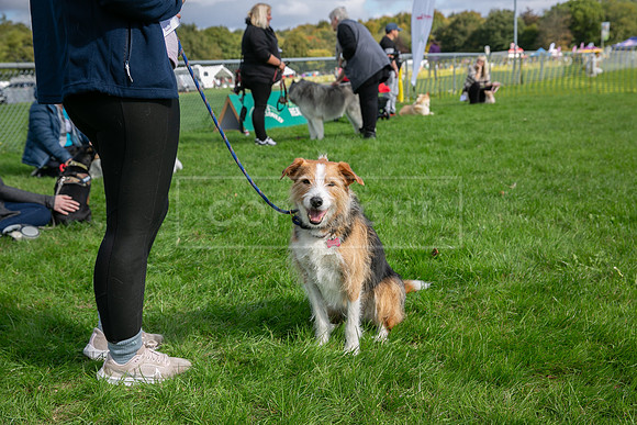Scruffts heat @ Detling 21st September 2025-128