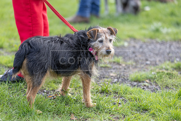 Scruffts heat @ Detling 21st September 2025-131