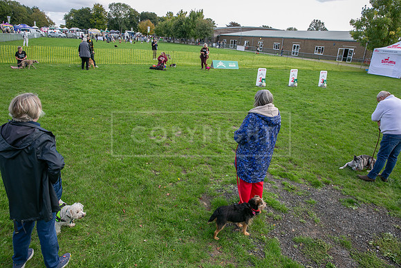 Scruffts heat @ Detling 21st September 2025-133